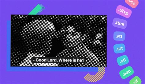 The Beginner’s Guide for Subtitle Format Users.